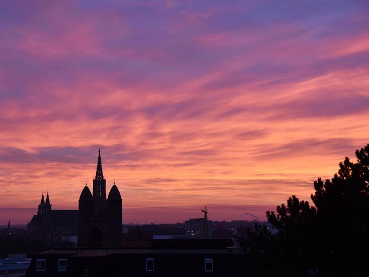 Blick auf die Ulmer Altstadt im Abendrot