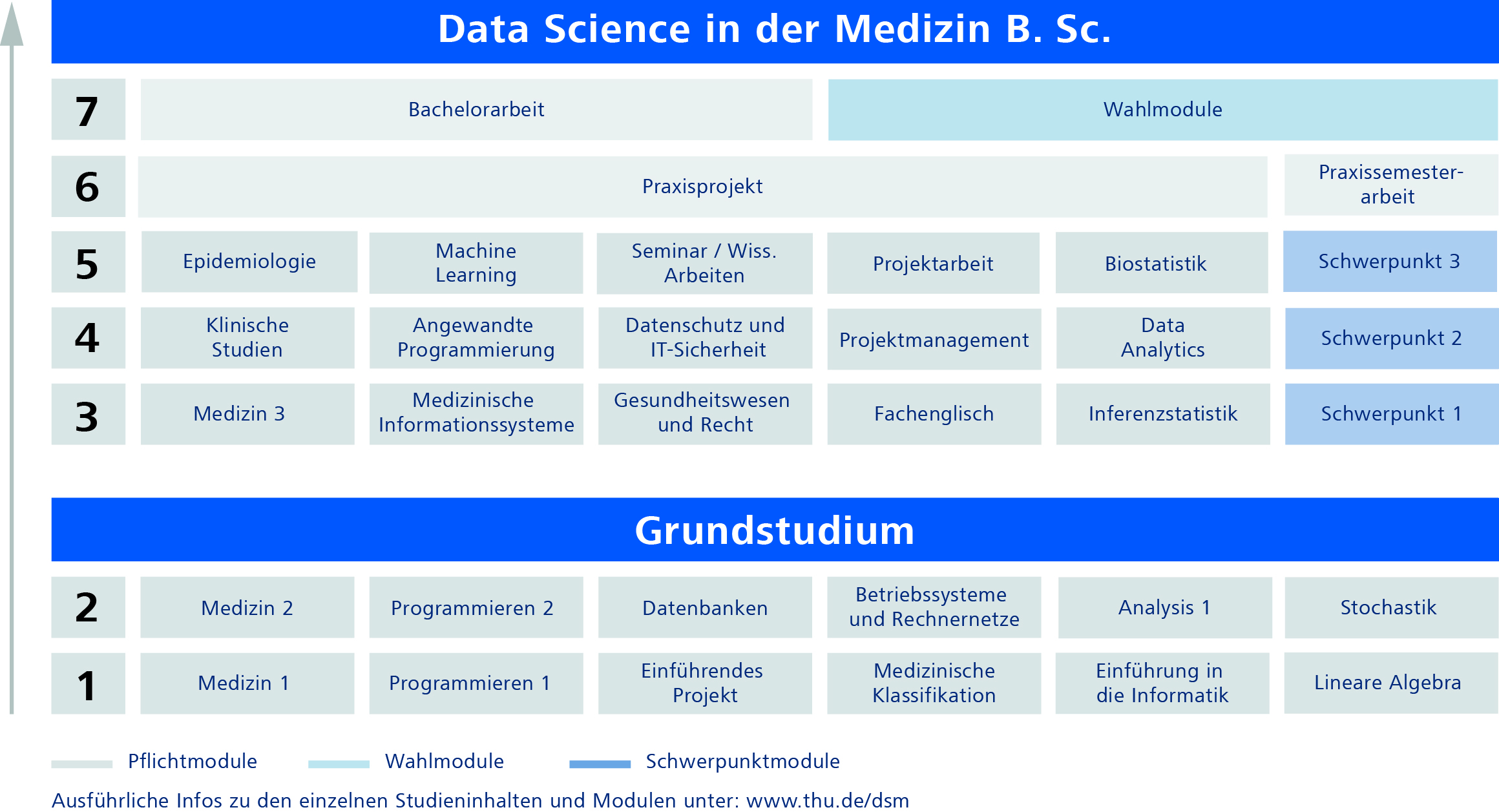 DSM_Studienverlaufsplan.jpg