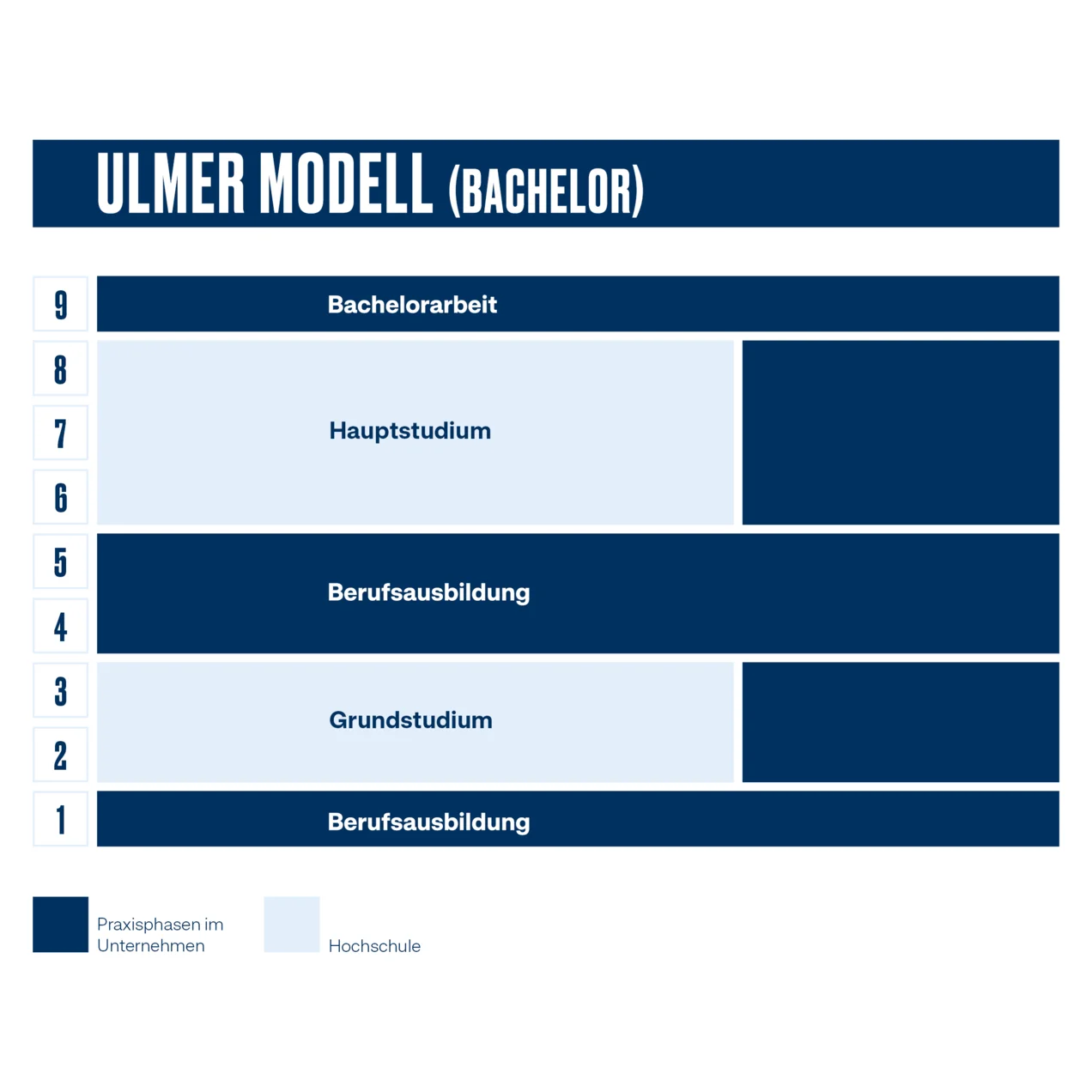 Studienablaufplan für das Studium nach dem Ulmer Modell