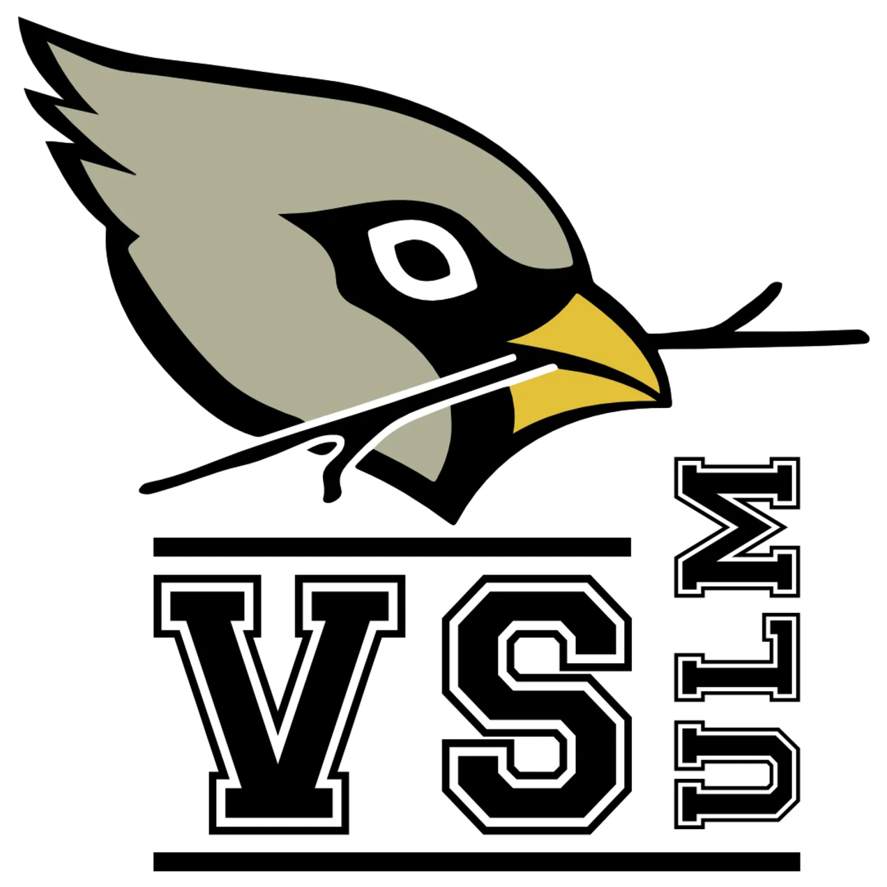 Logo der Verfassten Studierendenschaft der Technischen Hochschule Ulm bestehend auf den Wörtern VS Ulm und einem Kopf eines Spatzen. 