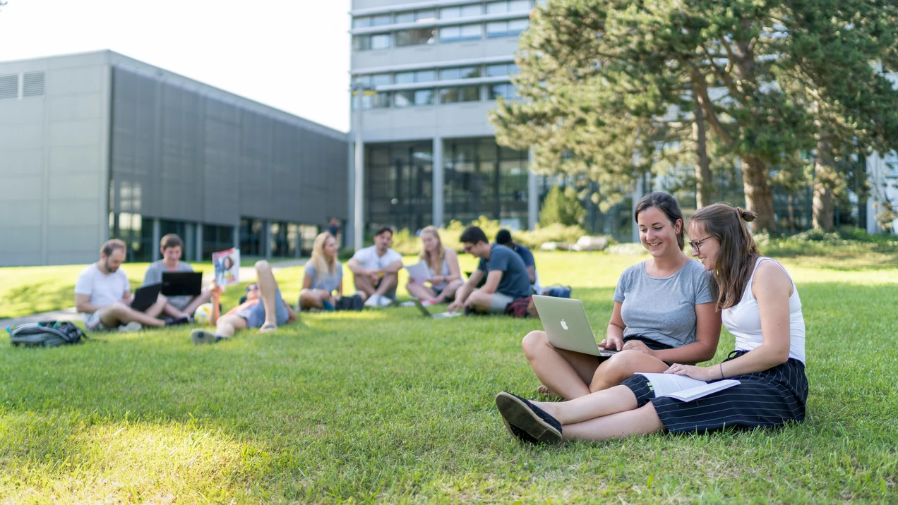 Eine große Gruppe Studierender sitzt bei sonnigem Wetter auf einer Wiese.