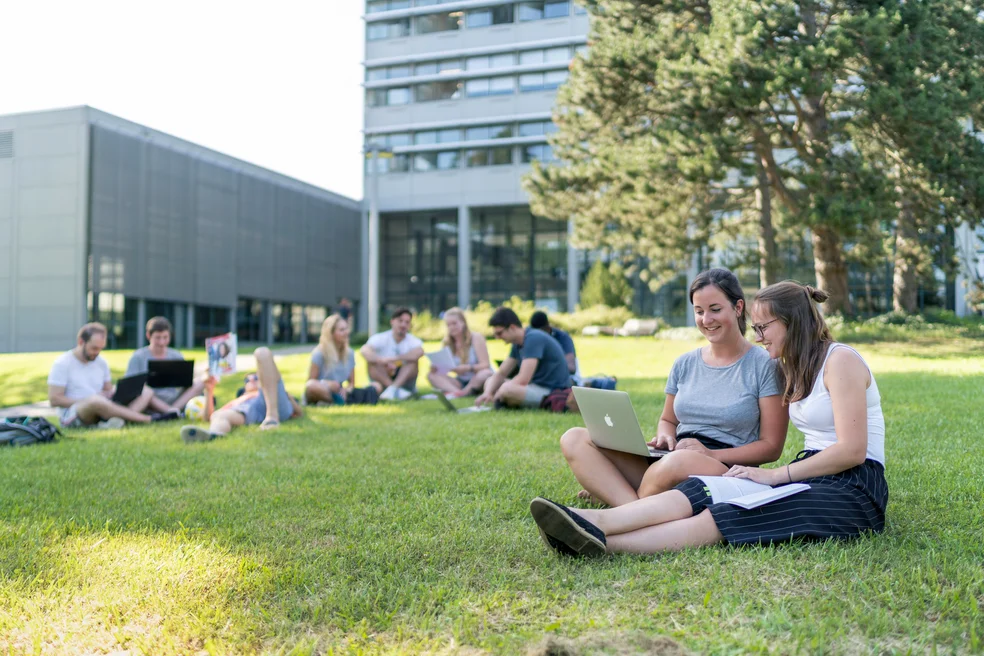 Eine große Gruppe Studierender sitzt bei sonnigem Wetter auf einer Wiese.