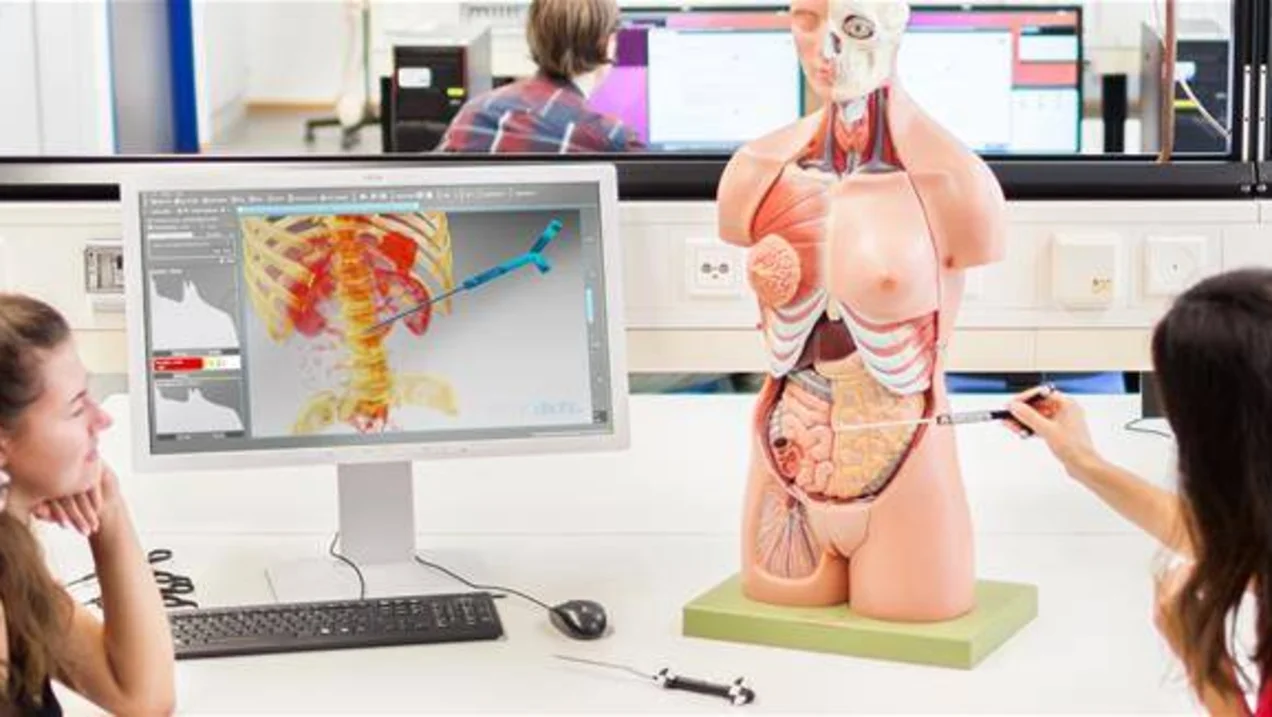 Studierende im Labor der Medizinischen Informatik an der THU arbeiten an einem medizinischen Modell.