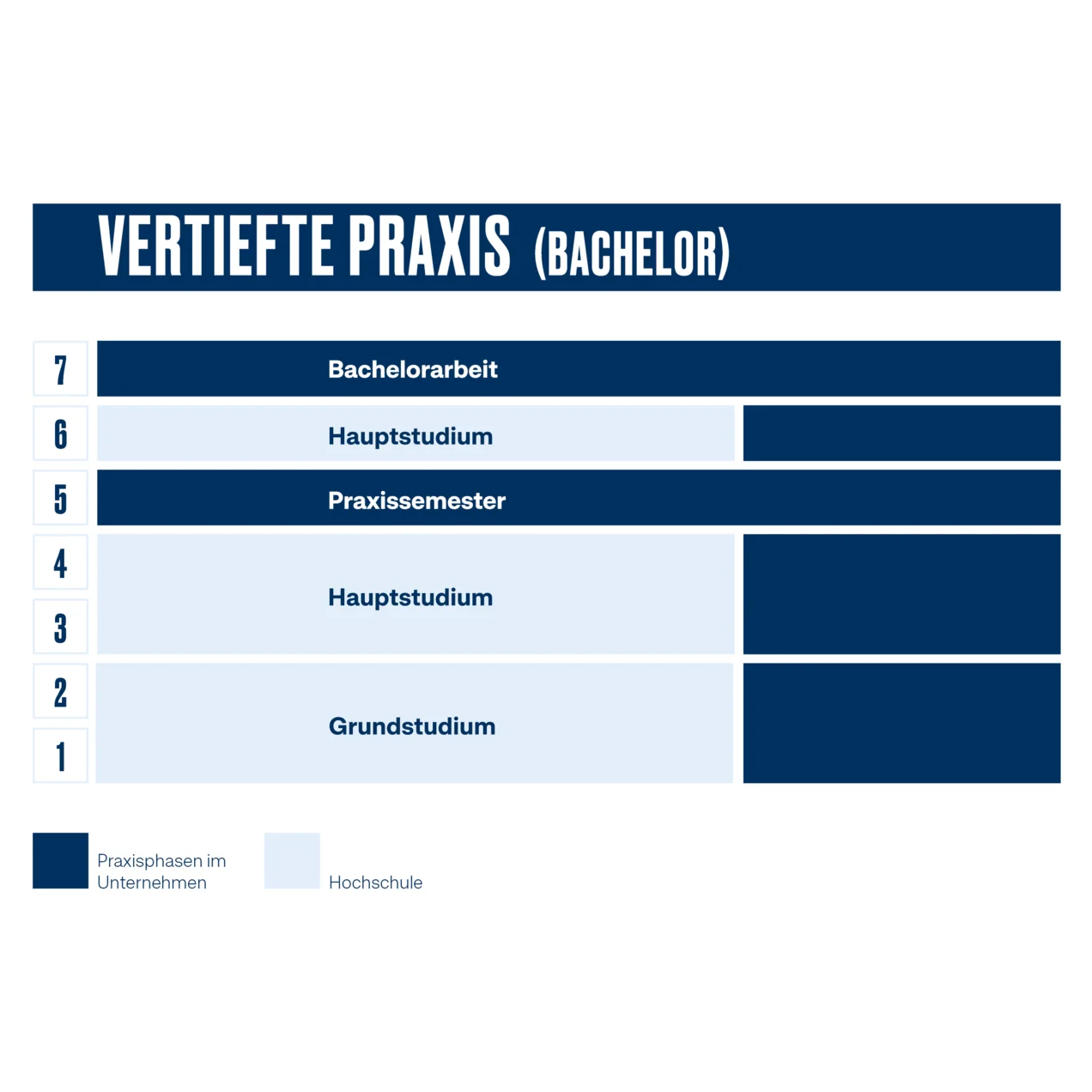 Studienablaufplan für das Studium mit vertiefter Praxis