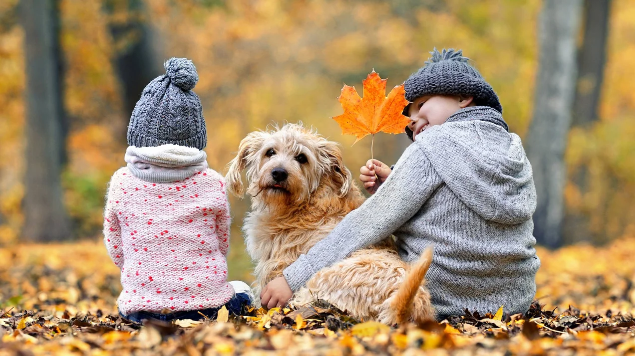 Zwei Kinder mit Hund im herbstlichen Wald