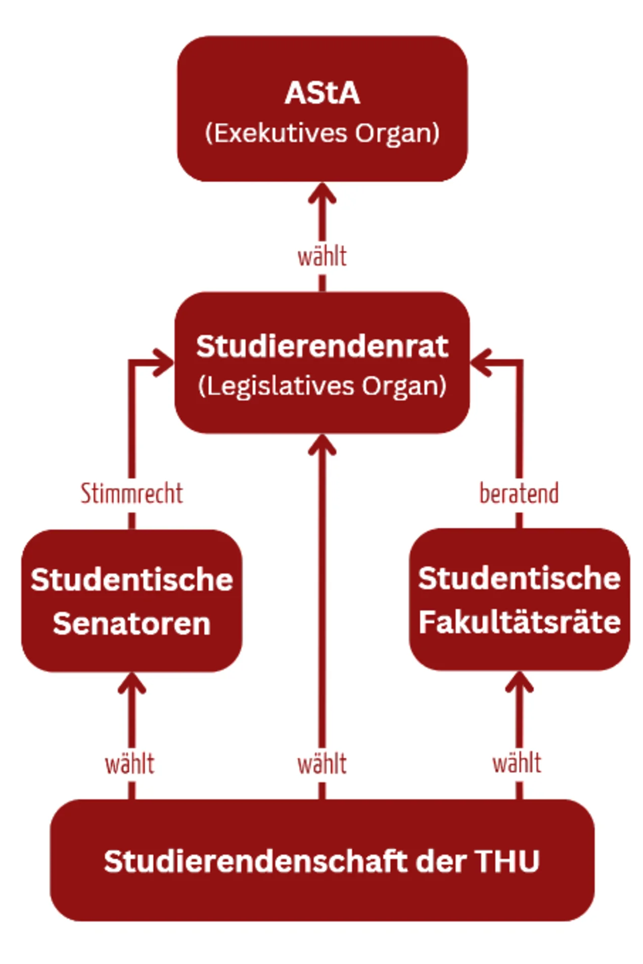 Grafik zum Aufbau der Verfassten Studierendenschaft