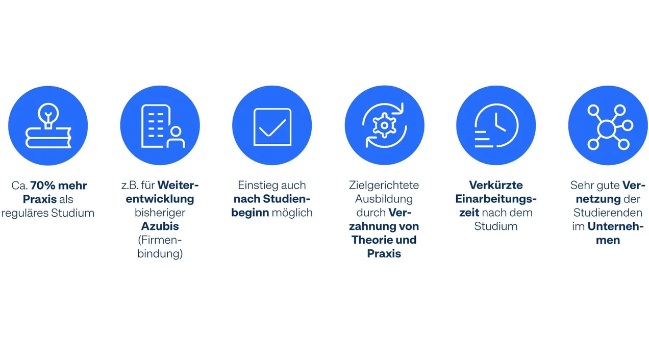 Vorteile des Studiums mit vertiefter Praxis für Unternehmen