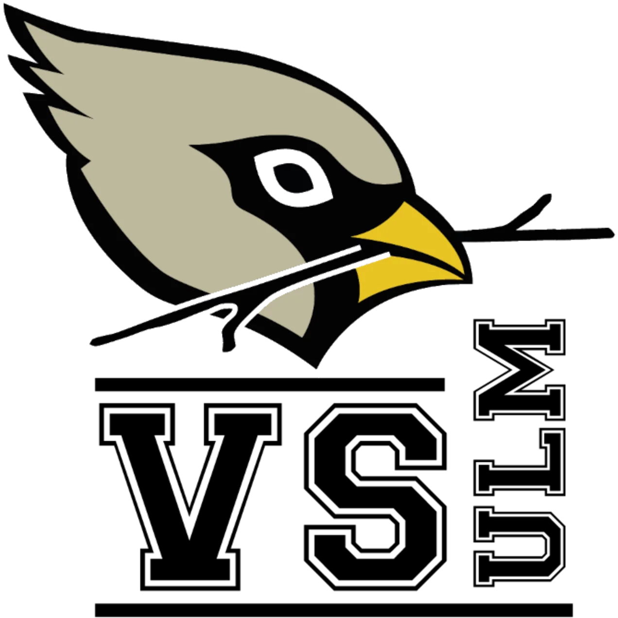 Logo der Verfassten Studierendenschaft der Technischen Hochschule Ulm bestehend auf den Wörtern VS Ulm und einem Kopf eines Spatzen. 