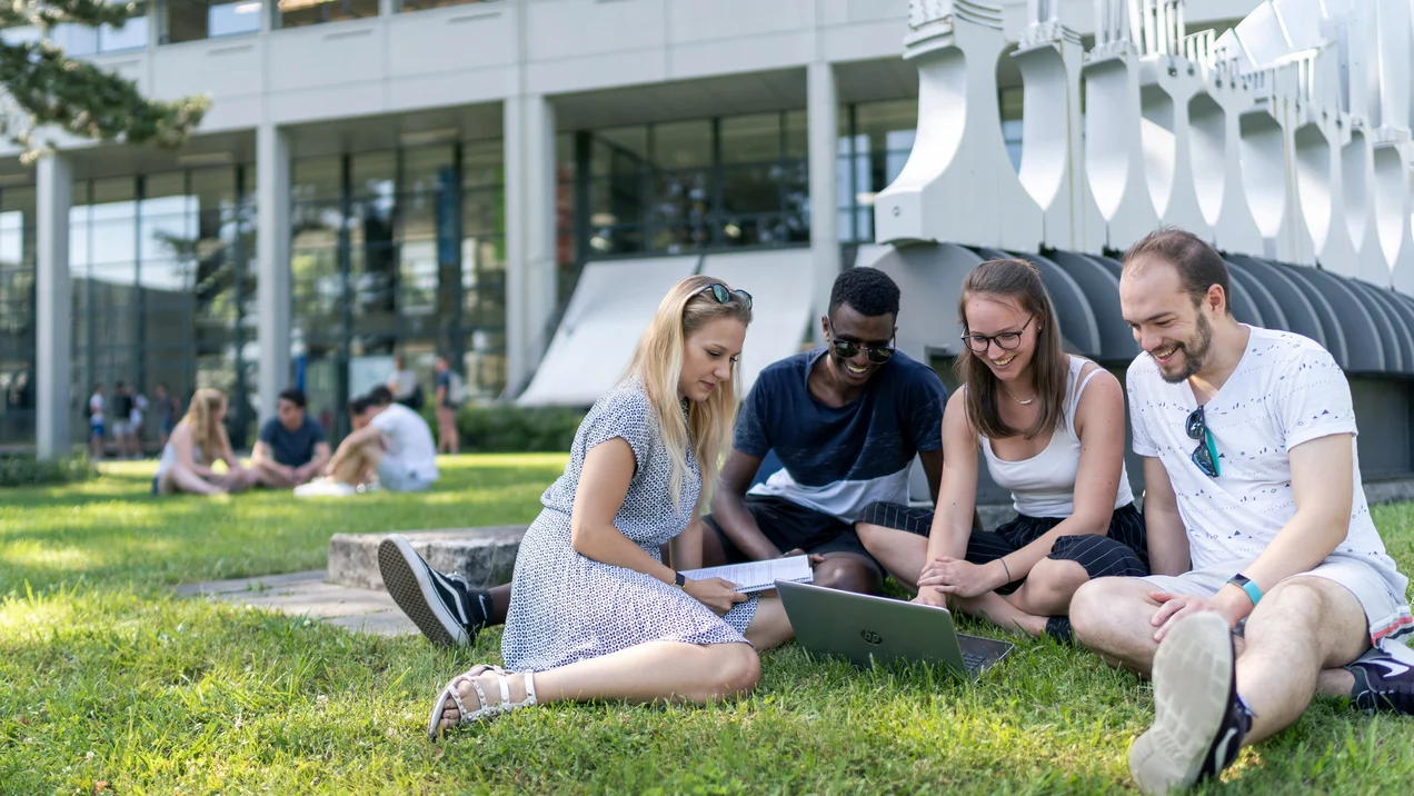 Vier Studierende sitzen im Kreis auf einer Wiese und lernen zusammen.