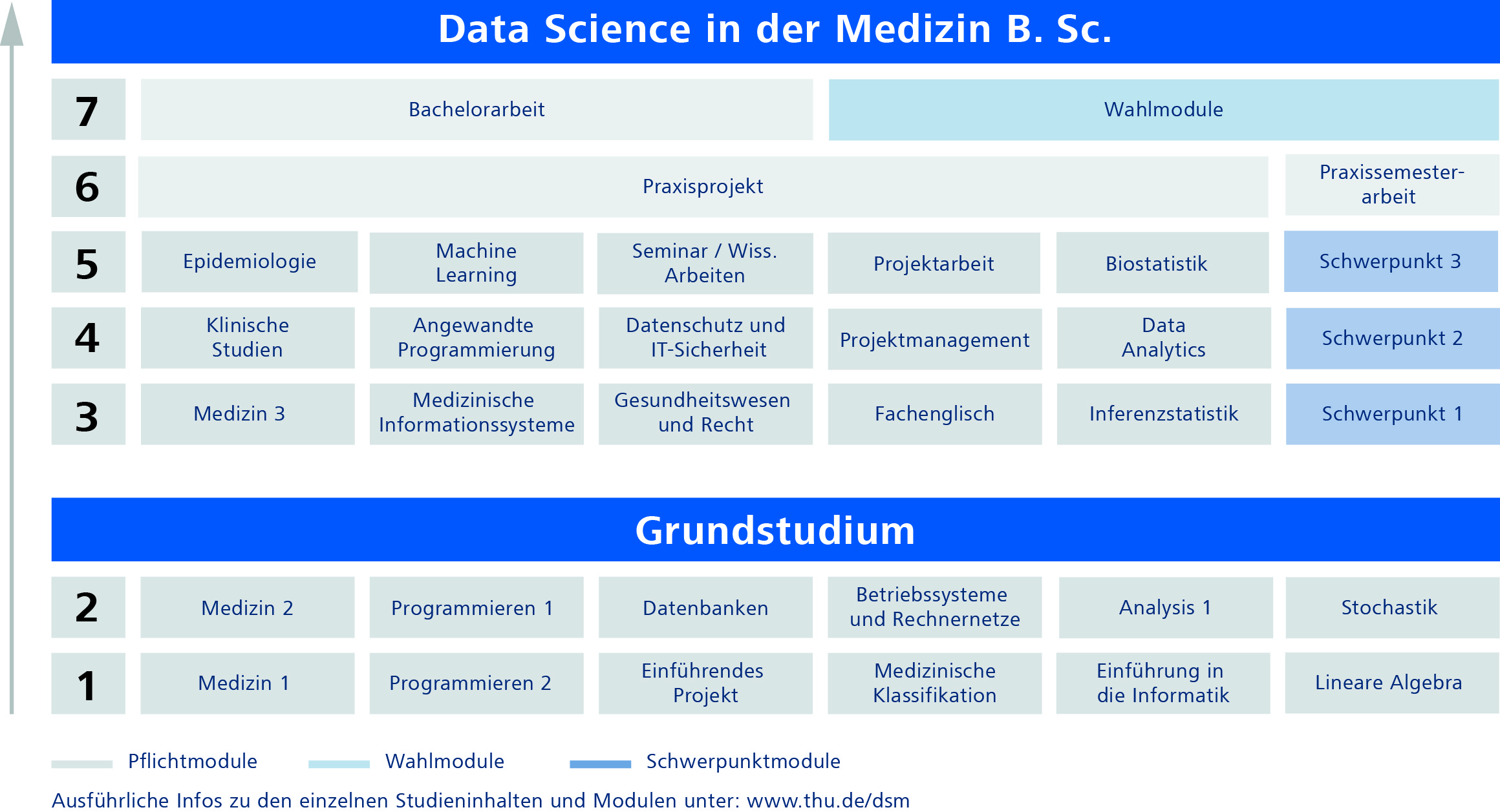 250428_Studienverlaufsplan_DSM.jpg