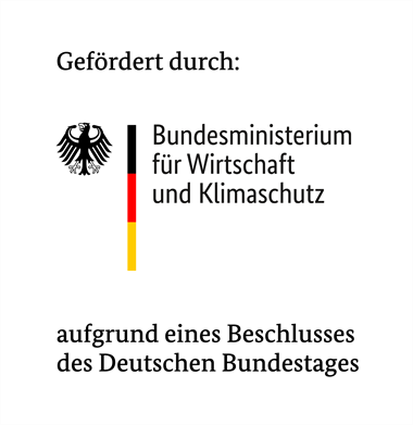 BMWi_Logo_gefoerdert_durch_380x391.png